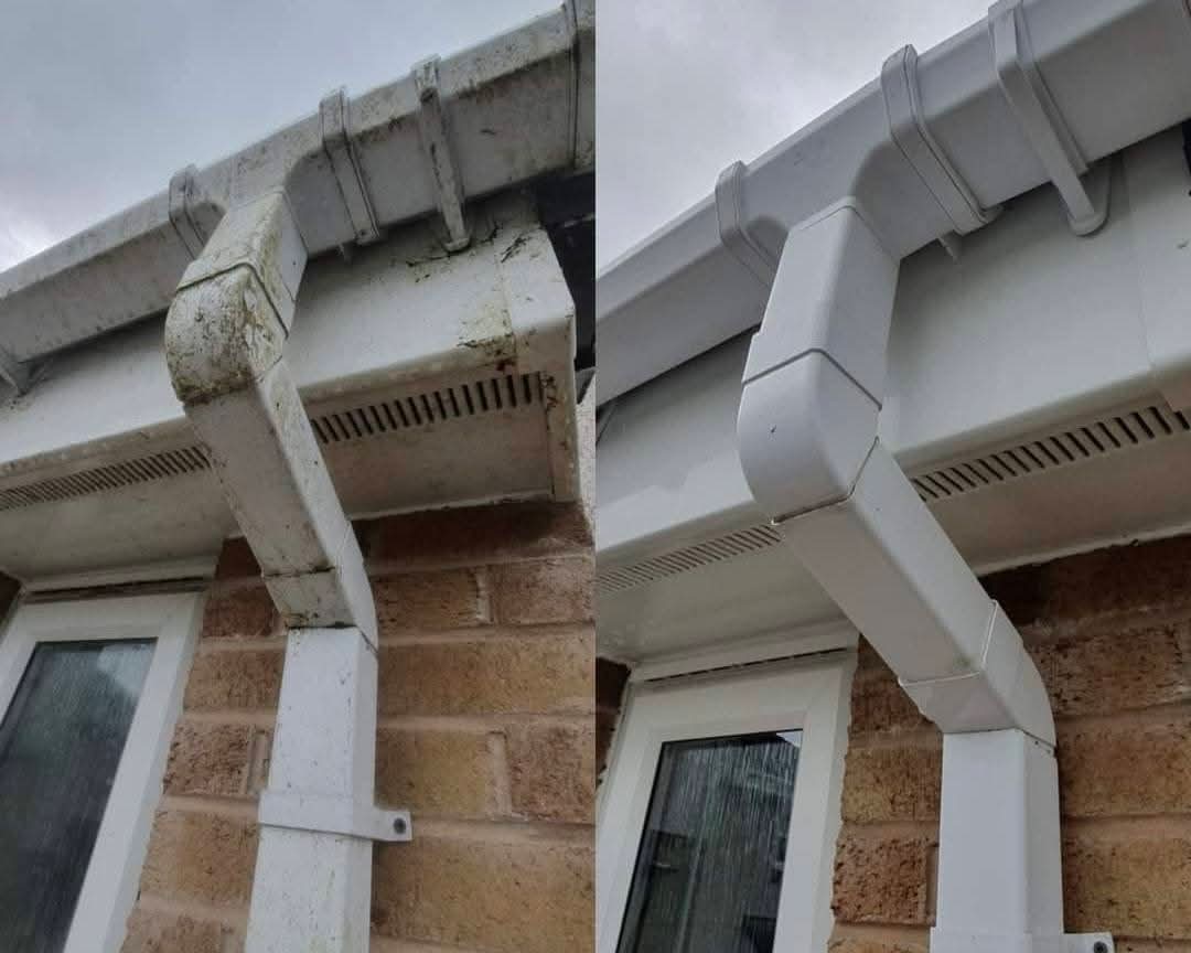 Algae-streaked UPVC downpipe and soffit cleaned back to bright white — before and after