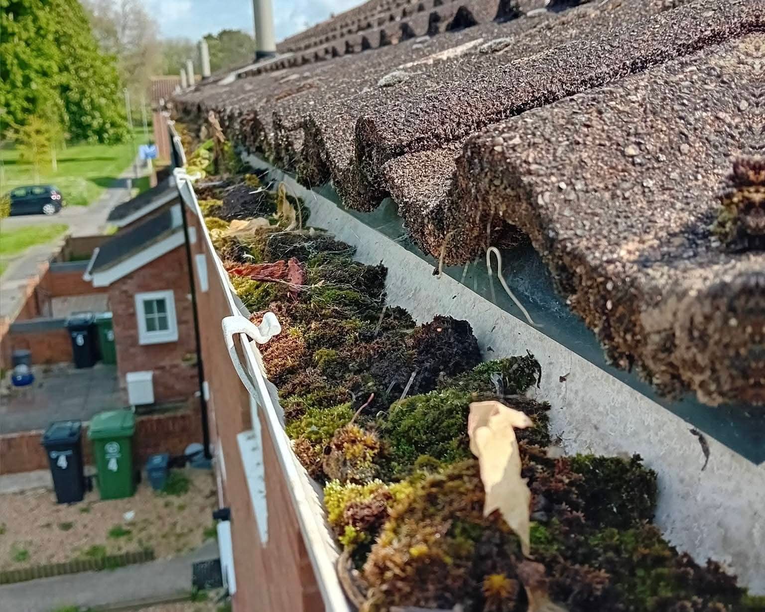 Gutter run overgrown with thick moss and debris before wet-vac clearance — Hampshire semi