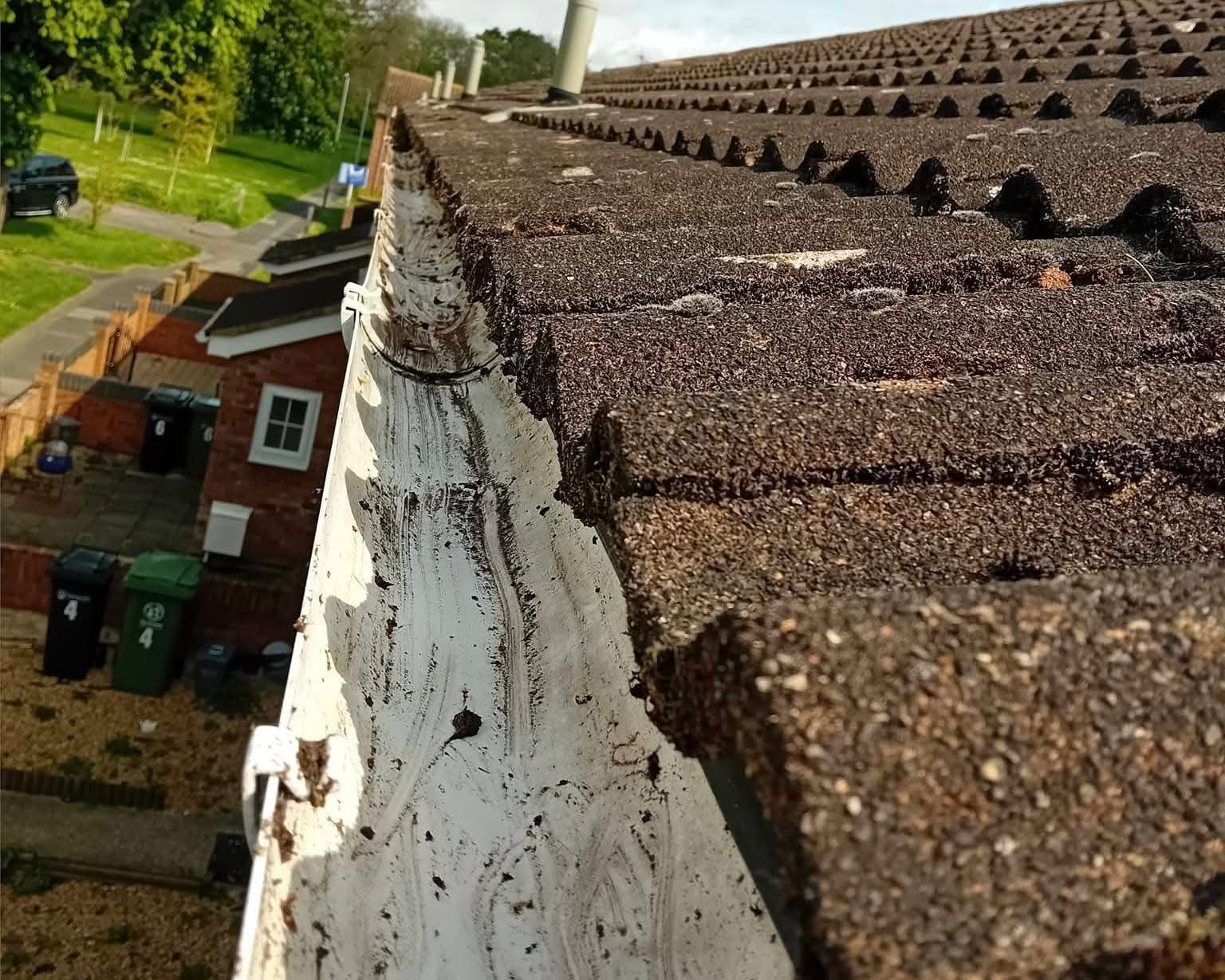 Gutter emptying and vacuum clearance on a South Hampshire home